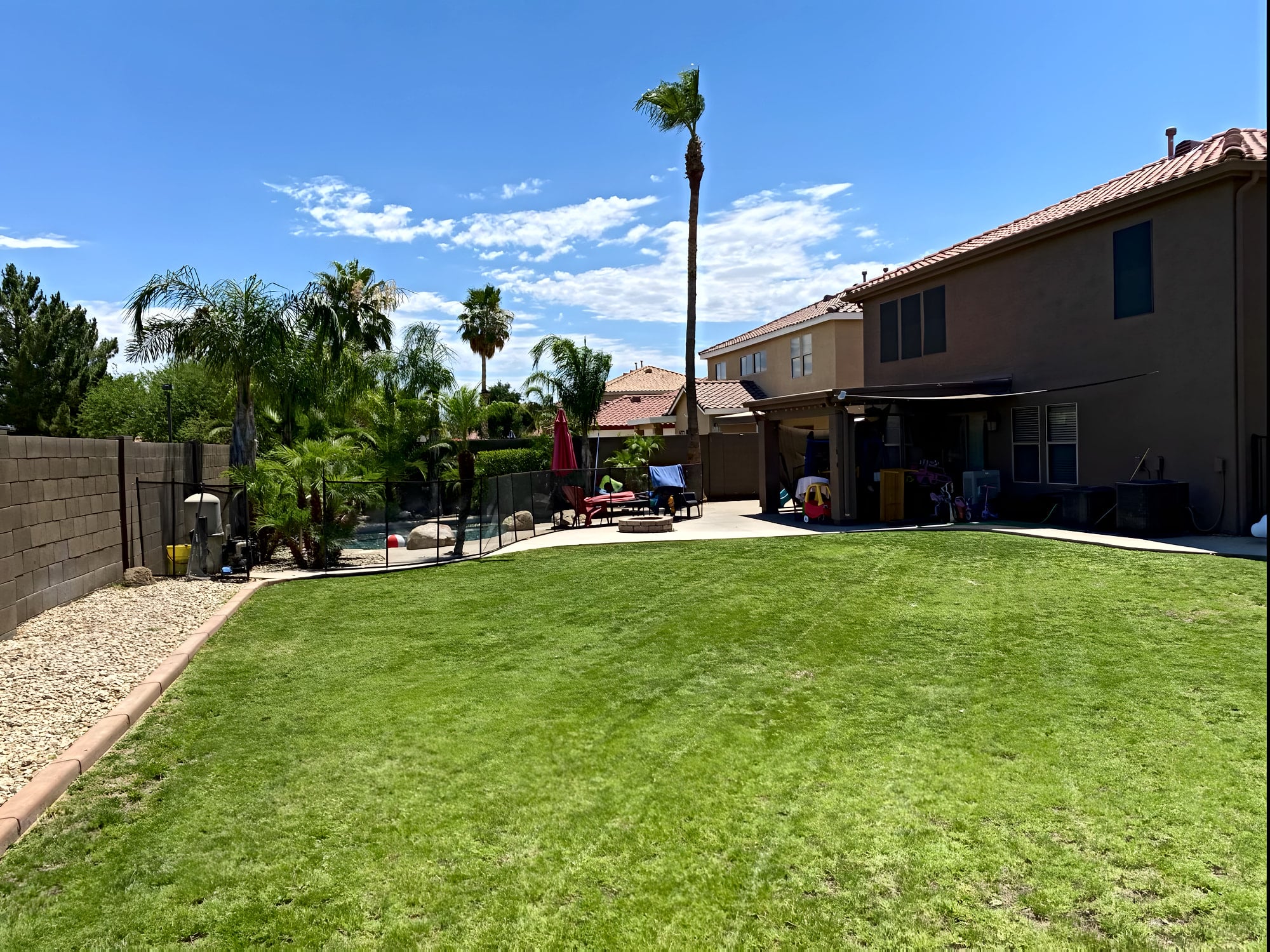 Trimmed lawn and palms in a Peoria backyard