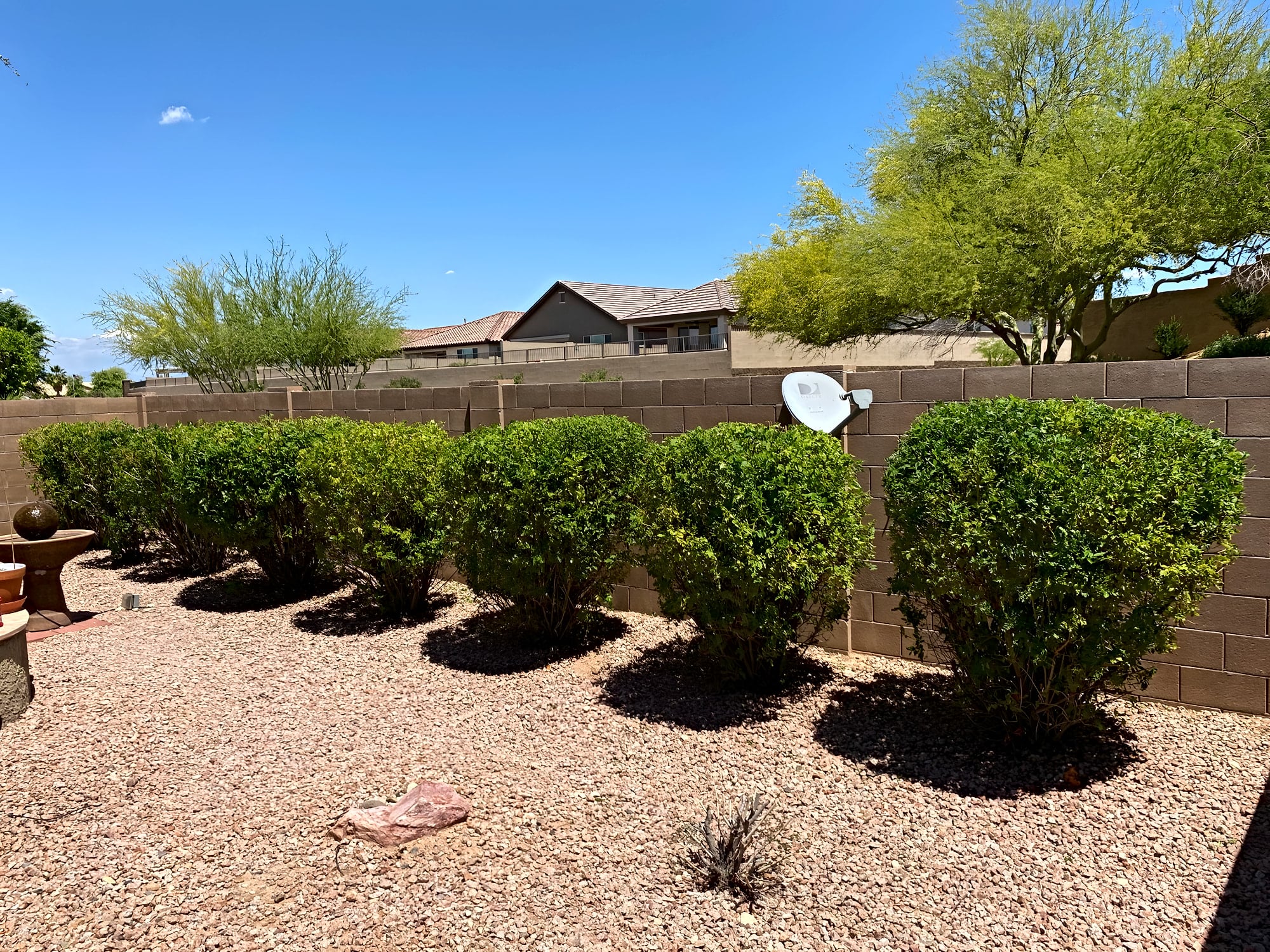 Neatly trimmed shrubs along a block wall in Sun City